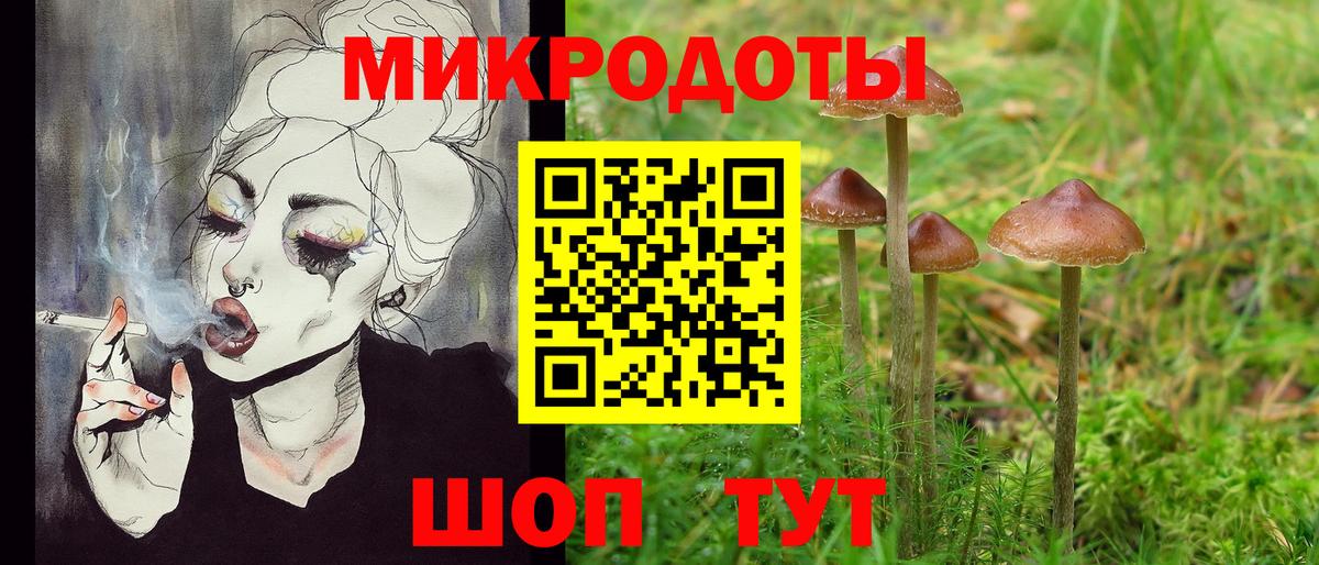 Партизанск  Псилоцибиновые грибы прущие грибы  Вход с VPN 